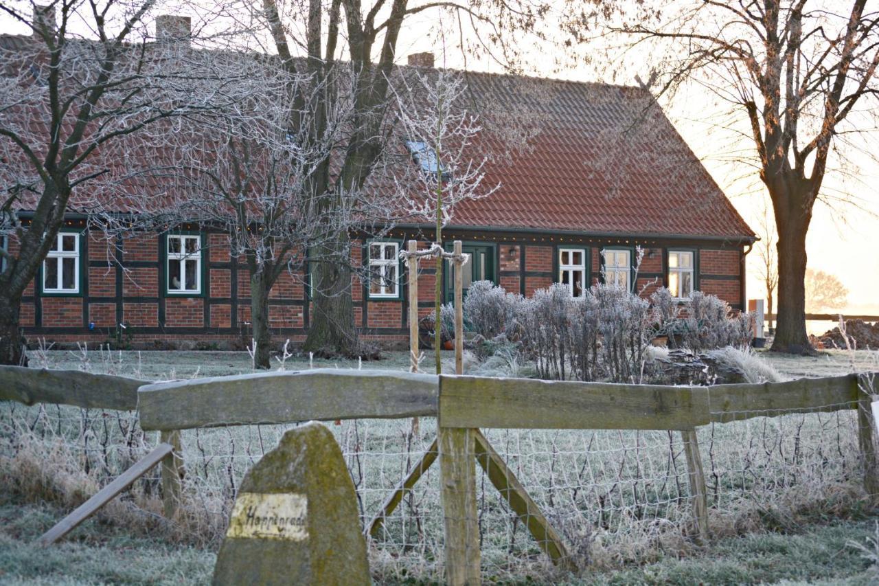 Pension Up'N Doerp Plattenburg Екстер'єр фото